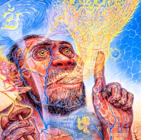 stoned ape theory psychedelics