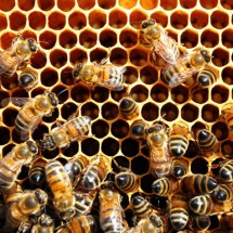 ocsmpgfuiyogwpwowghu